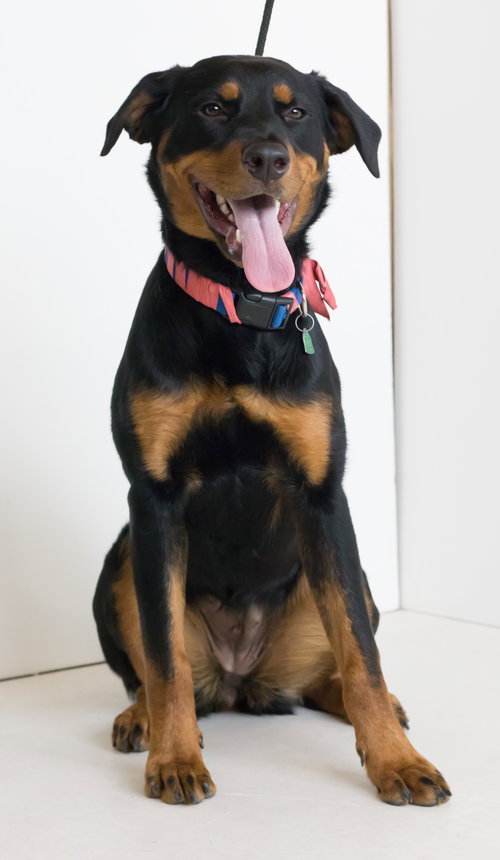 Kyna