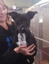 Misty- Needs foster 12/23-12/29
