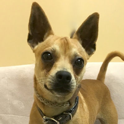 Rosco