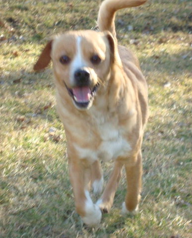 Rusty