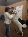 Tuffy