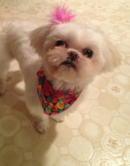 Lucy