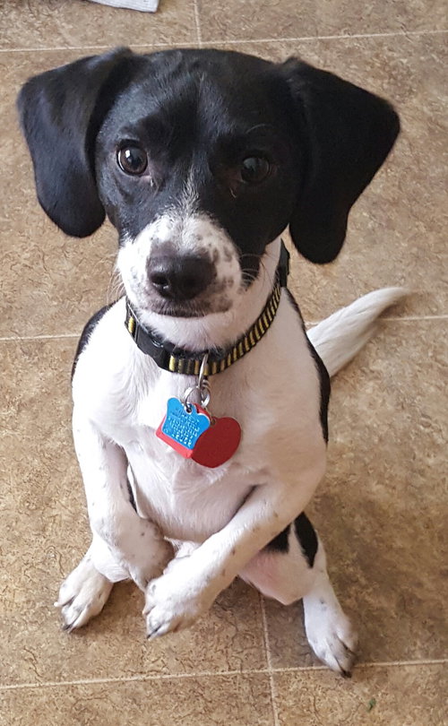Max