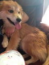 Oliver