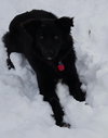 Lucy