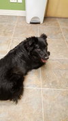 Lucy
