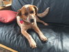 Cloe