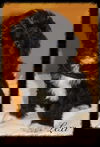 Lesa