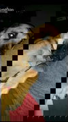 Elwood