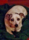 Clementine