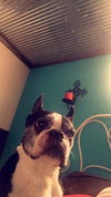 Mater