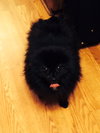 Oswald