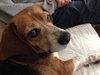 Buster