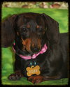 Roxie