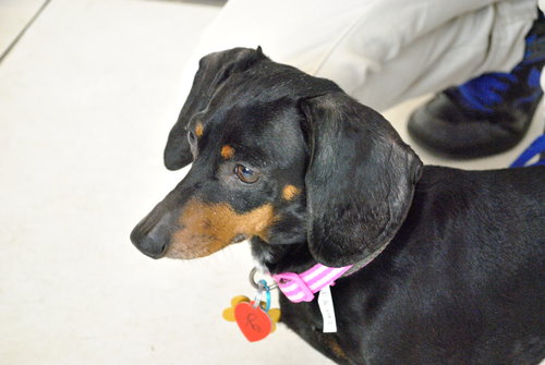 Roxie