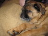 Roscoe