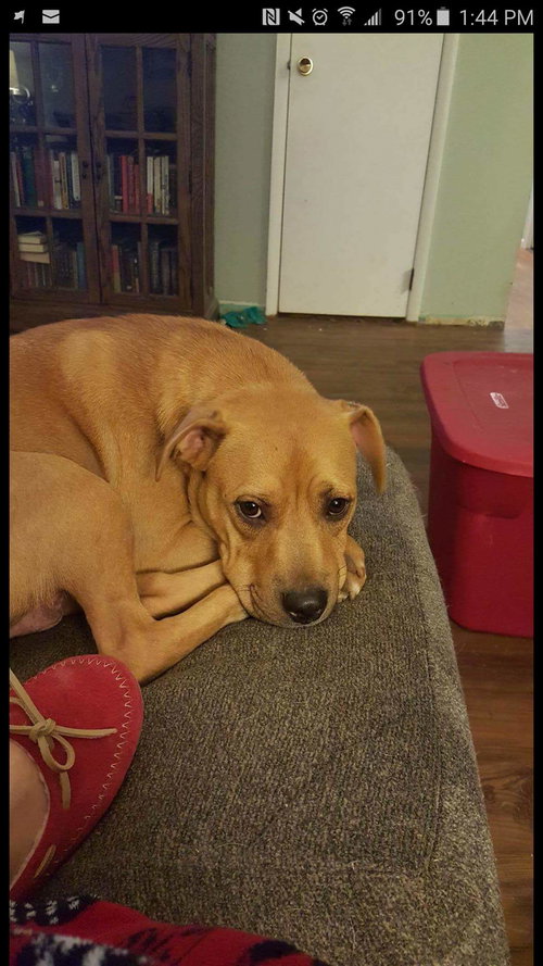 Coco