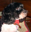 Lucie