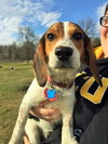 Buckley