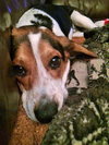 Buckley