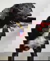 Joan