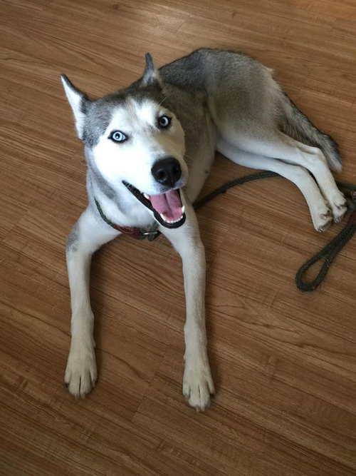 Pita