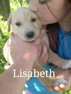Lisabeth
