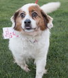 Heidi