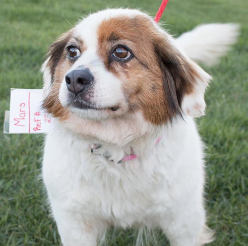 Heidi