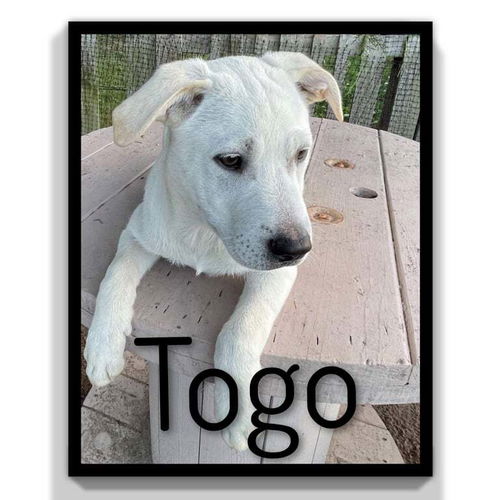 Togo