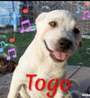 Togo