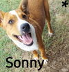 Sonny