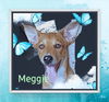 Meggie