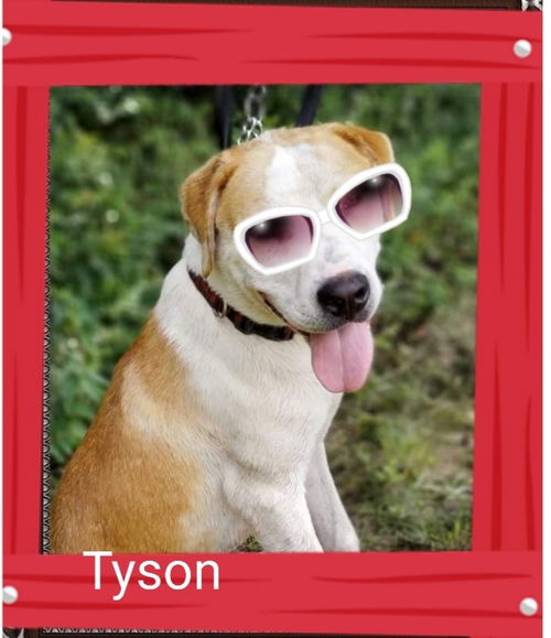 Tyson