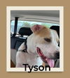 Tyson