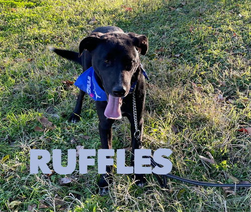 Ruffles