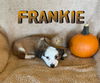 Frankie