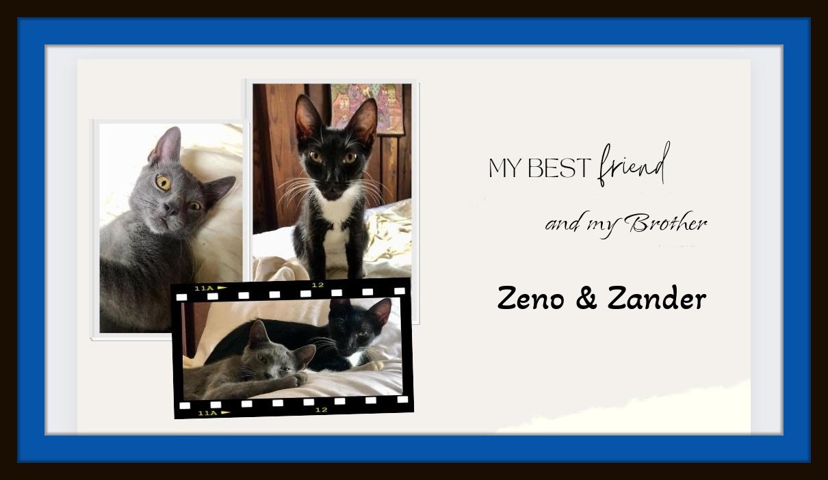 Zeno and Zander