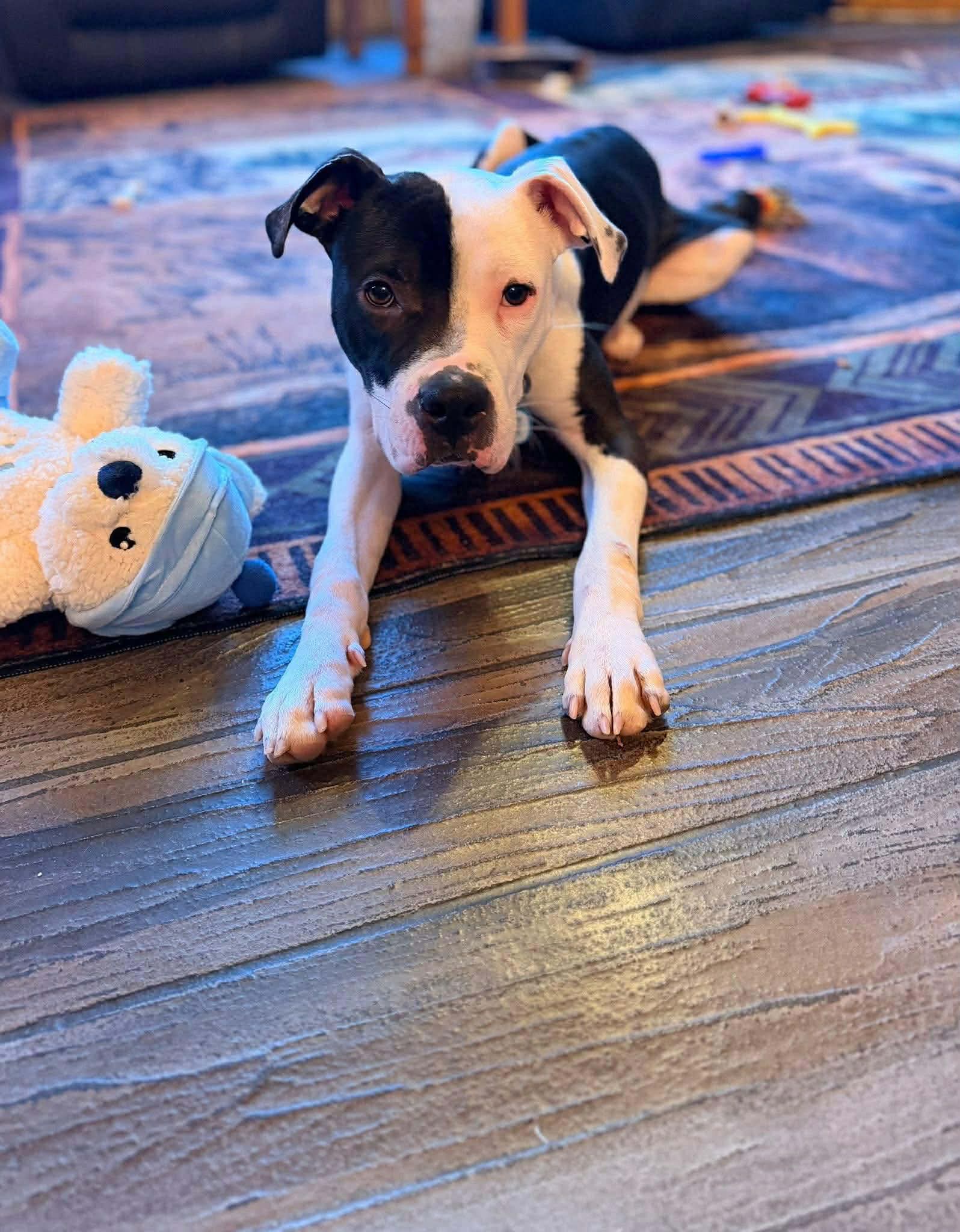 Sully Image
