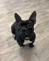 Gumbo - Photo 1