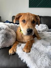 Gunther - Photo 1
