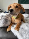 Gunther - Photo 2