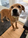 Gunther - Photo 5
