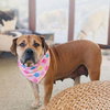 Mama Penny - Photo 1