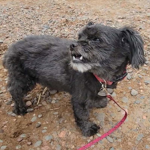 Suzie photo 3