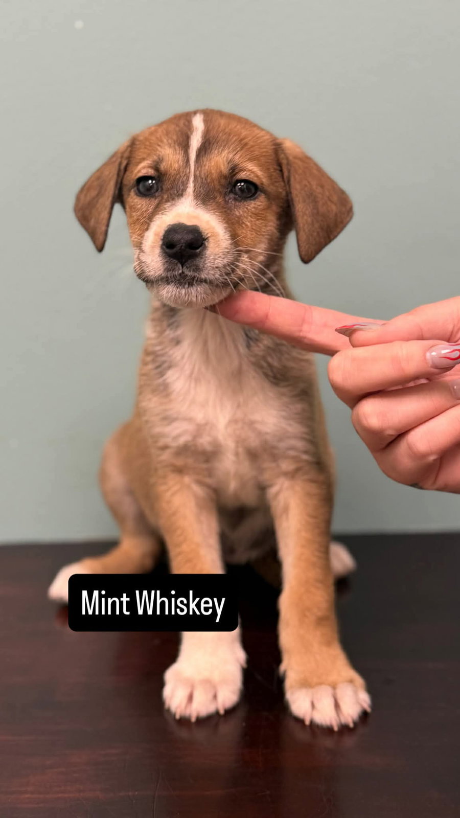 Mint Whiskey