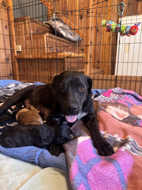 Mama Tilly