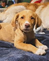 Betsy - Photo 2