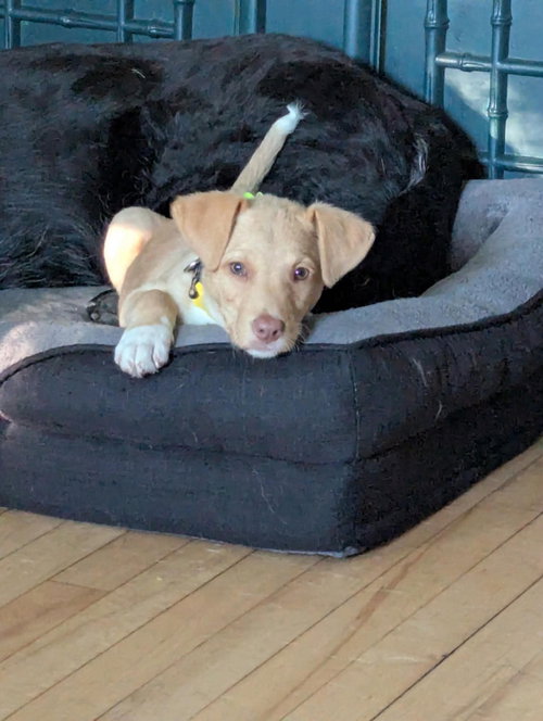 Luna photo 2