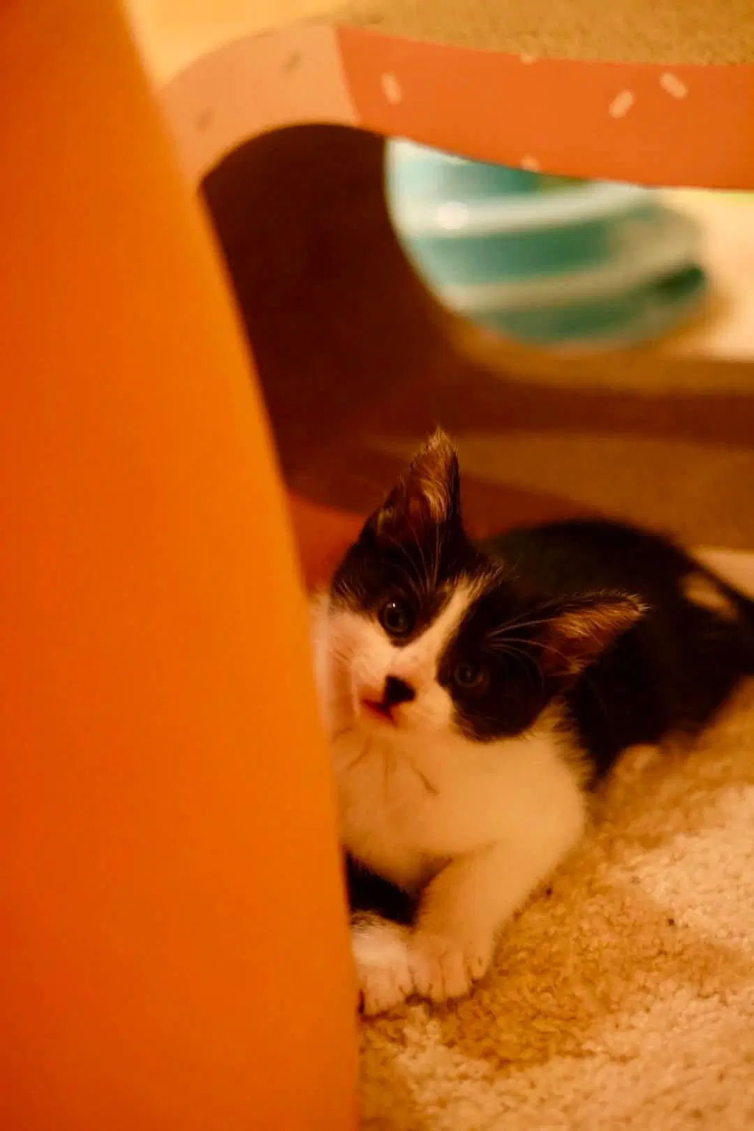 Bing image 3